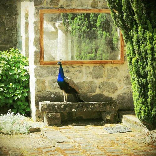 Domaine De Frevent Bed and Breakfast Echouboulains Εξωτερικό φωτογραφία